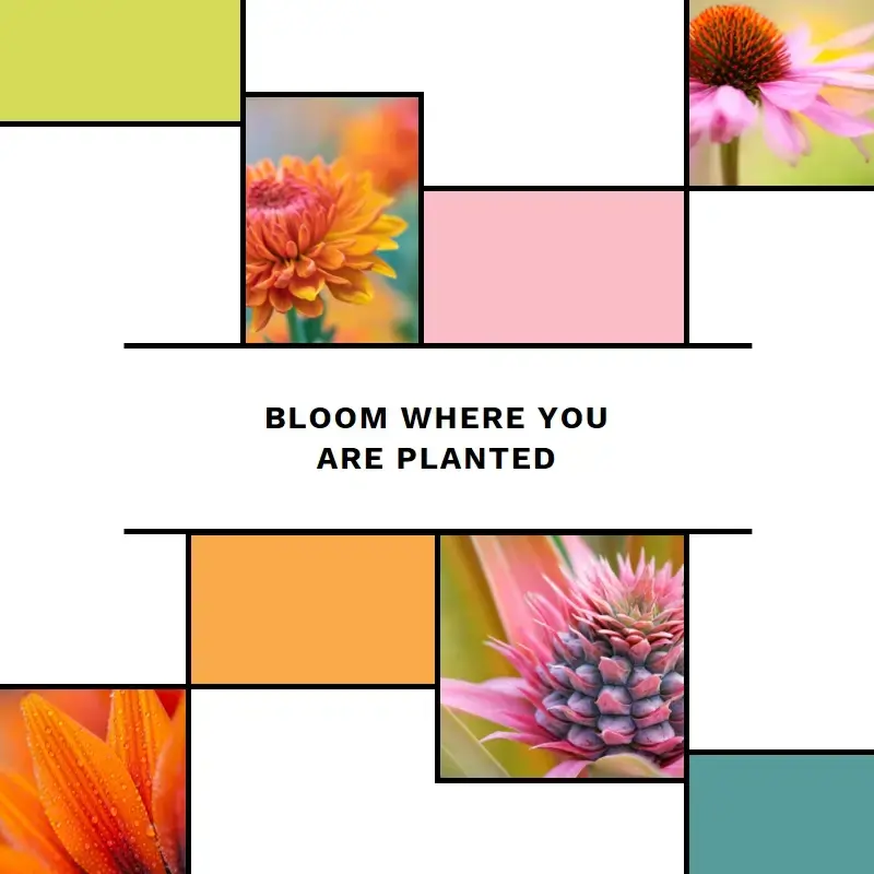 The Bloom Where You're Planted design template