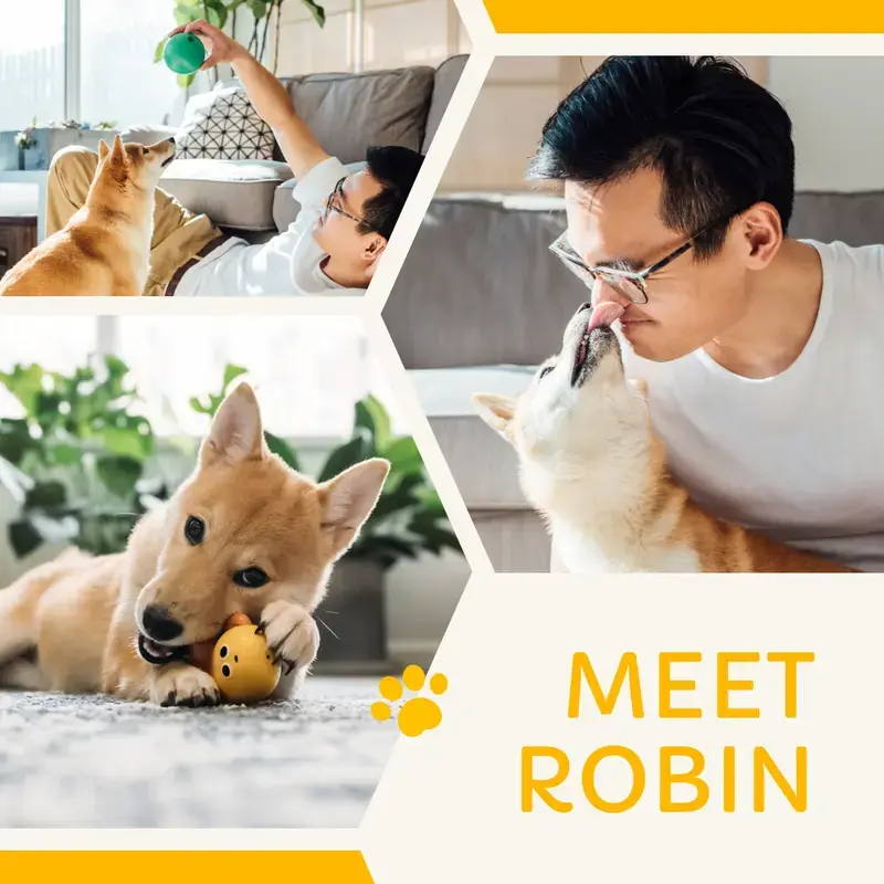 The Meet My Dog Robin template