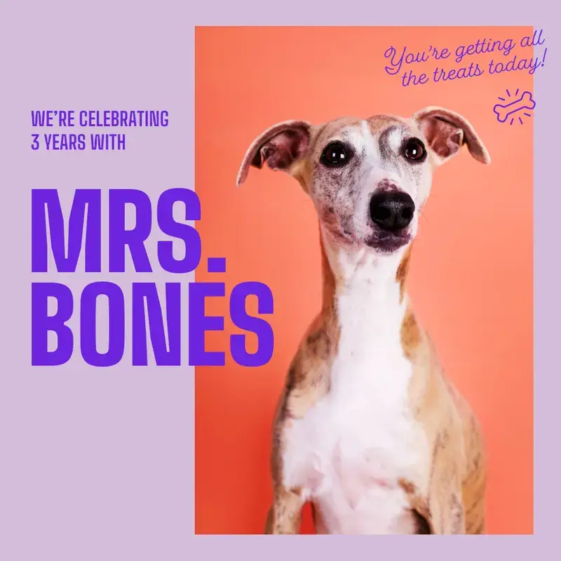 The Celebrating 3 Years with Mrs. Bones template