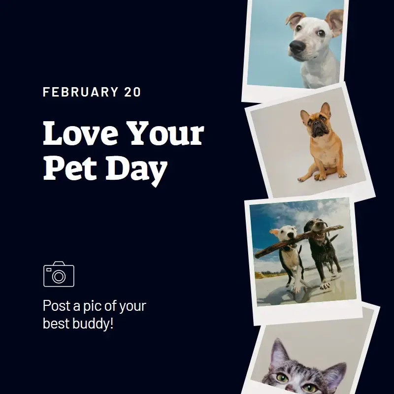 The Pet Images template