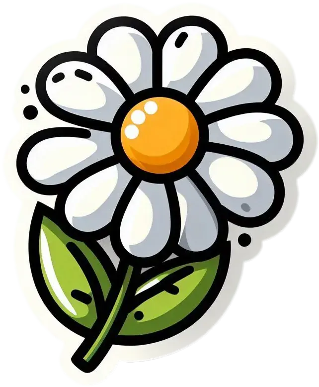 A white daisy