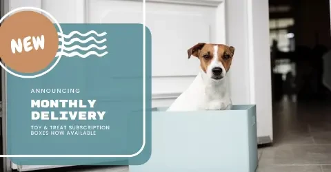 Dog delivery white modern-simple