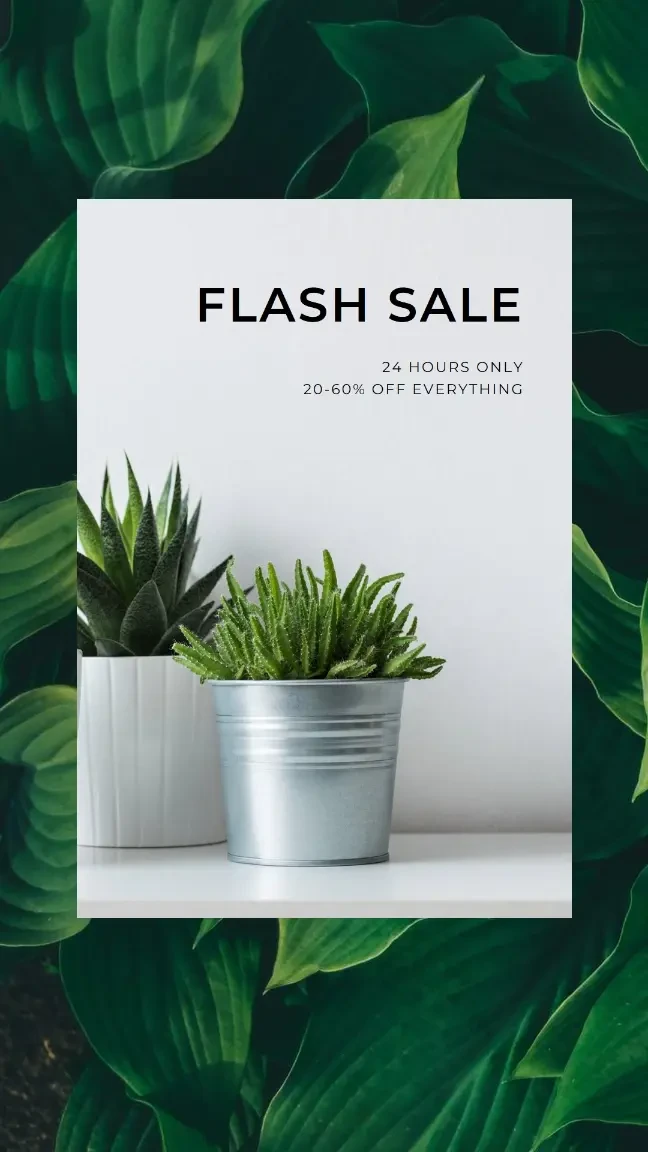 Succulent sale green modern-simple