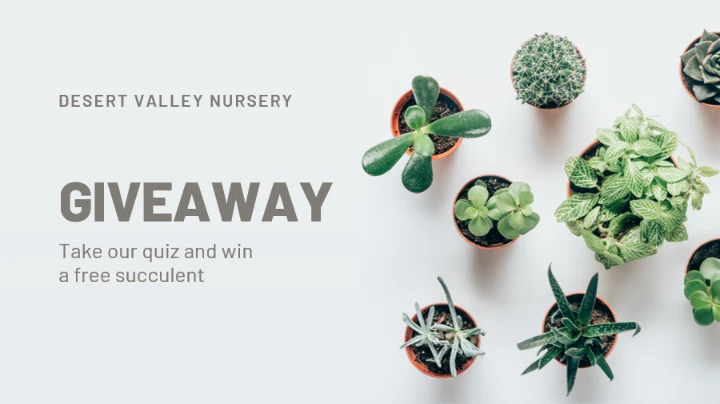 title White modern-simple Take our quiz and win 
a free succulent DESERT VALLEY NURSERY GIVEAWAY