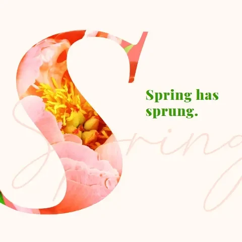 Spring preening pink vintage-botanical