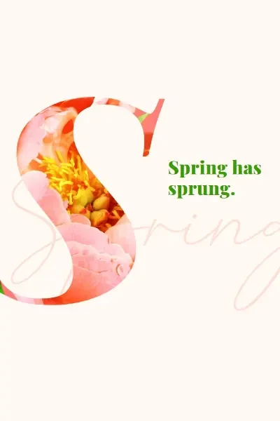 Spring preening pink vintage-botanical