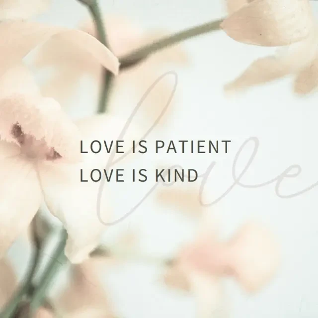 title White love LOVE IS PATIENTLOVE IS KIND