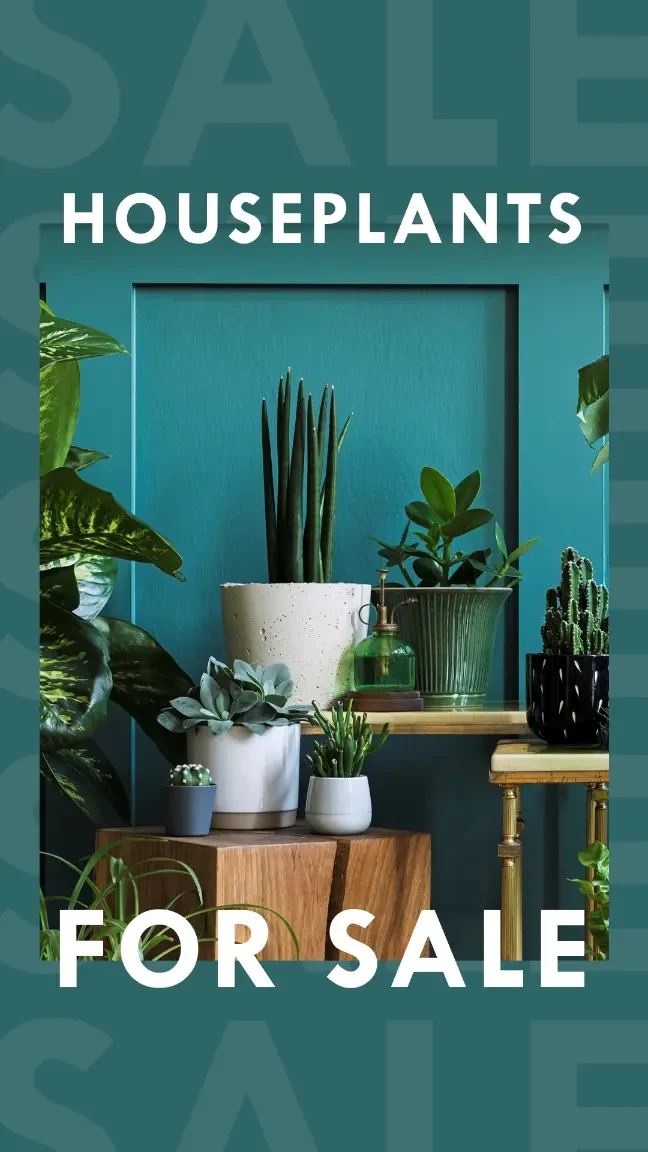 Plant power Green Modern Bold