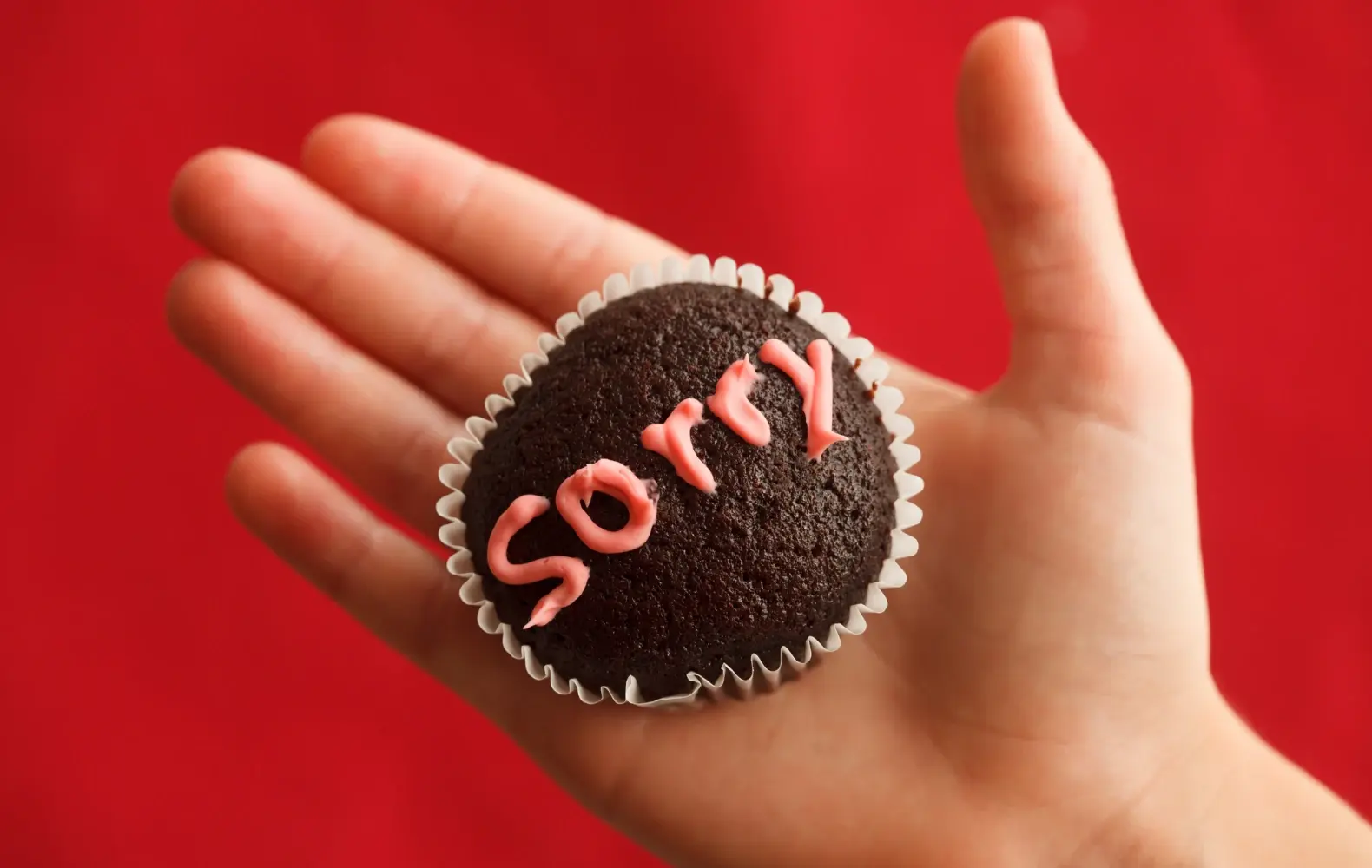 The word "Sorry" written on a cupcake being offered as an apology.
