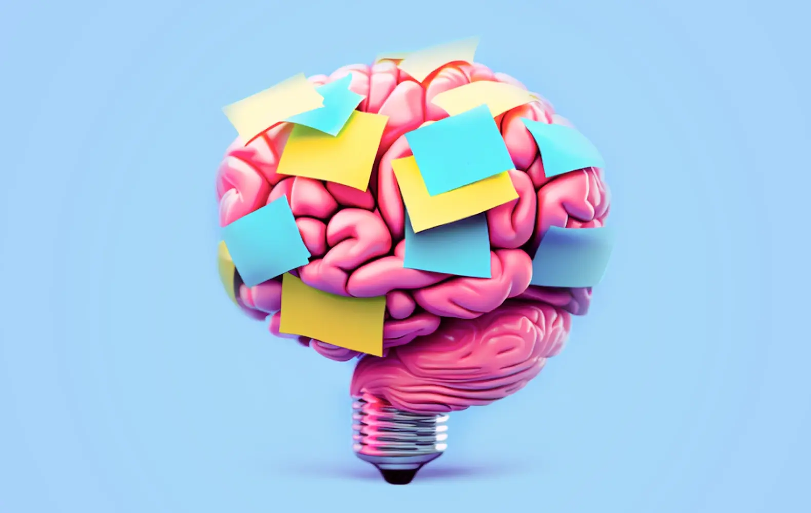 Model of brain with sticky notes