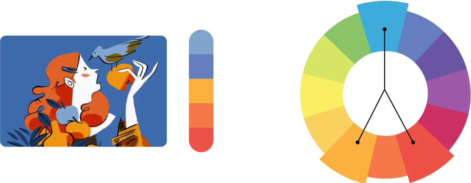 Exemple de palette de couleurs créée à l’aide de couleurs complémentaires fractionnées sur la roulette de couleurs.