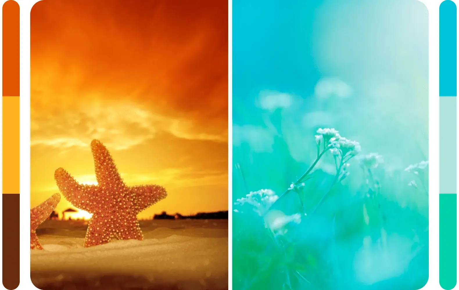 Example showing a warm image and a cool image to illustrate the different feelings that color can evoke.